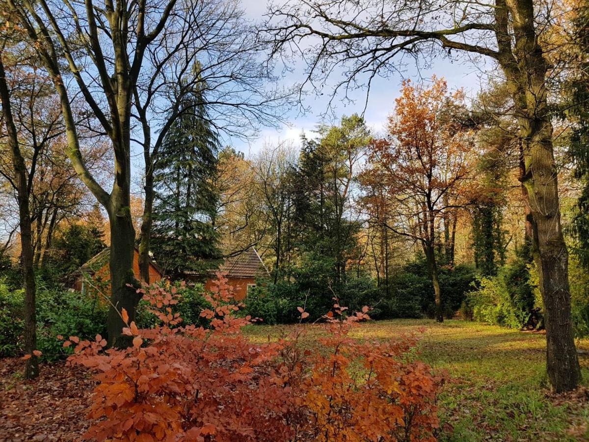 הוילה בארלה-נוסאו Chalet Forest מראה חיצוני תמונה